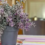 Brunarica Appartamento Moravske Toplice