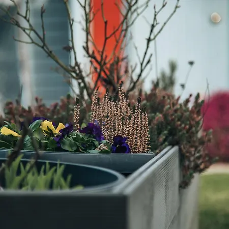 Apartmán Brunarica *