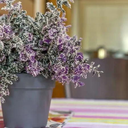 Brunarica Apartmán Moravske Toplice