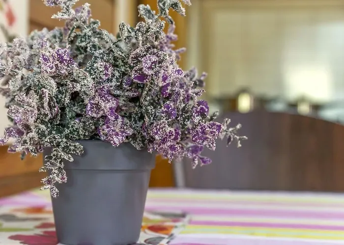 布鲁纳利卡公寓 公寓 摩拉瓦托普利采