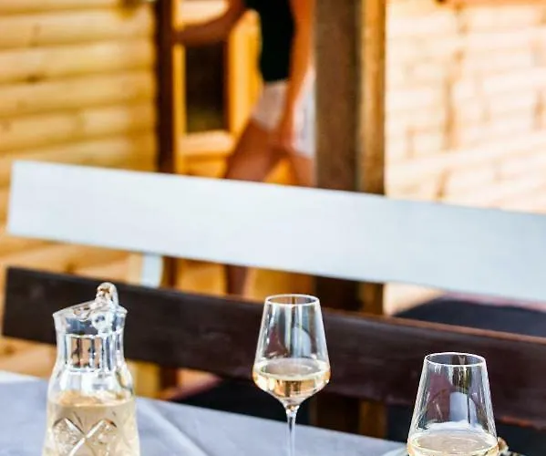 布鲁纳利卡公寓 *